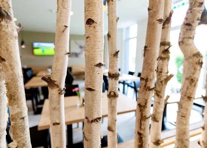 هويست 3* هول ان تيرول